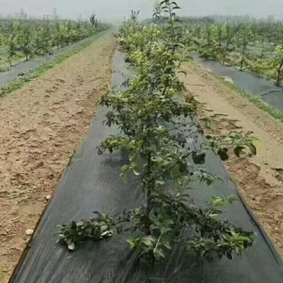 防草布使用效果怎么樣
