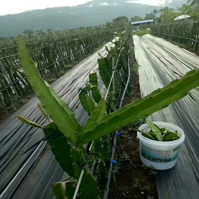 防草布使用效果怎么樣