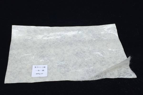 闡述復(fù)合土工膜的2種生產(chǎn)工藝