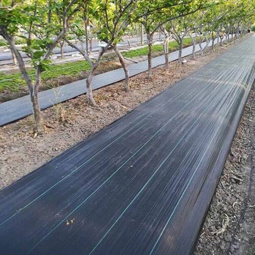 桑園使用防草布使用效果如何？