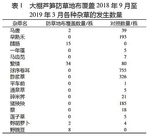 防草布在蘆筍田抑草效果怎么樣？